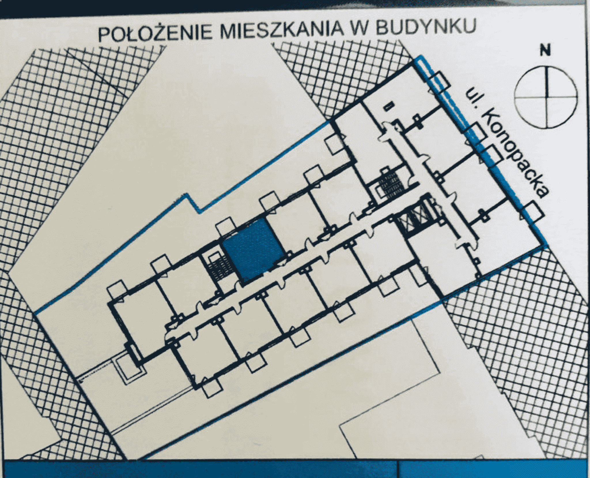 Miniatura 10